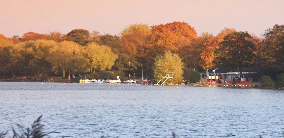 ... Bootssteg am herbstlichen See mit Bäumen im Hintergrund