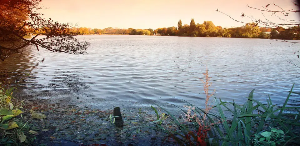 ... Ufer eines Sees mit Herbstlaub und Bäumen im Hintergrund